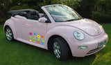 Daisy Flower Stickers Decals Graphics For Car Van Bike