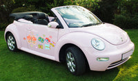 Butterflies Car Van Decal Sticker Set Butterfly Colourful Bright Camper Pink