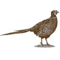 Country Range Pheasant Wall Sticker - Decal Porch Hallway Entrance Bird