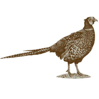 Country Range Pheasant Wall Sticker - Decal Porch Hallway Entrance Bird