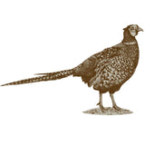 Country Range Pheasant Wall Sticker - Decal Porch Hallway Entrance Bird