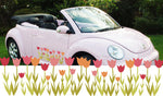 Girly Tulip Flower Stickers Decals Graphics For Car Van Bike