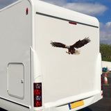 Bald Eagle Motorhome Laminated Vinyl Graphic - Camper Car Caravan Horsebox Stickers Decals