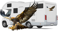 Eagle Motorhome Vinyl Graphic - Camper Car Caravan Horsebox Stickers Decals