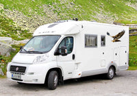 Eagle Motorhome Vinyl Graphic - Camper Car Caravan Horsebox Stickers Decals