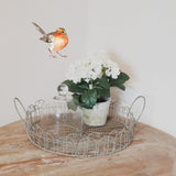 Robin Wall Sticker - Decal for Porch Hallway Glass